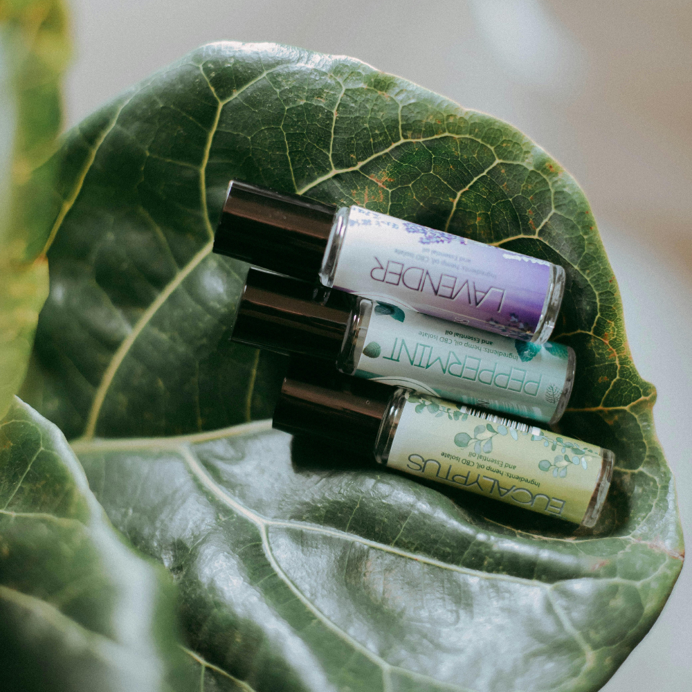 Téli menedék a testnek: 3 illóolaj, ami segít átvészelni a hideg hónapokat